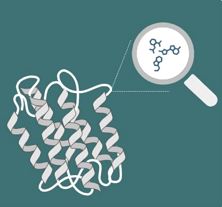 Protein Modelling icon